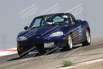 media/Jul-26-2025-Speed Ventures (Sat) [[fe569e6cf0]]/Purple Group/Grapevine/
